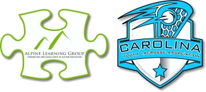 Custom Shape Car Magnets