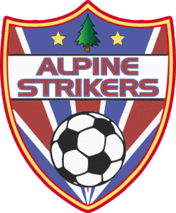 Custom Soccer Club car magnets