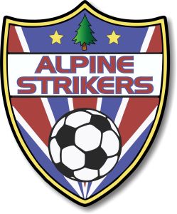 Custom Soccer Club car magnets