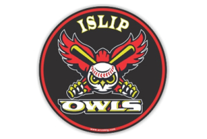 Car magnets for baseball teams