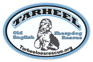 Tarheel Old English Sheepdog Rescue