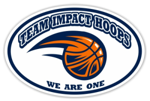 Impact Hoops Basketball car magnet