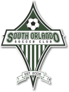 Custom die cut car magnets