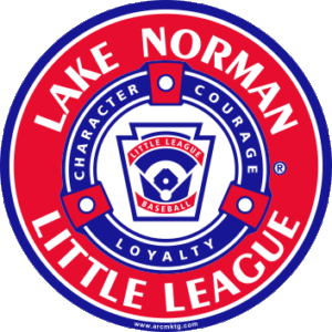 Custom Car Magnets for Little League Baseball