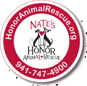 Car Magnet Fundraiser