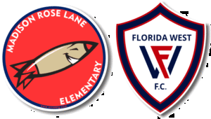 How to Create & Run a Successful Fundraiser