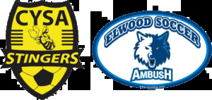 How to Use Soccer-Themed Custom Car Magnets