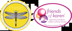 Top 3 Reasons to Use Custom Car Magnets for a Non-Profit