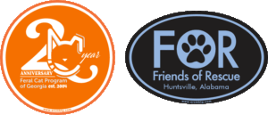 ustom car magnets for animal rescue groups, featuring Friends of Rescue and Feral Cat Program of Georgia designs.