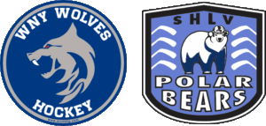 Hockey car magnets for WNY Wolves and SHLV Polar Bears