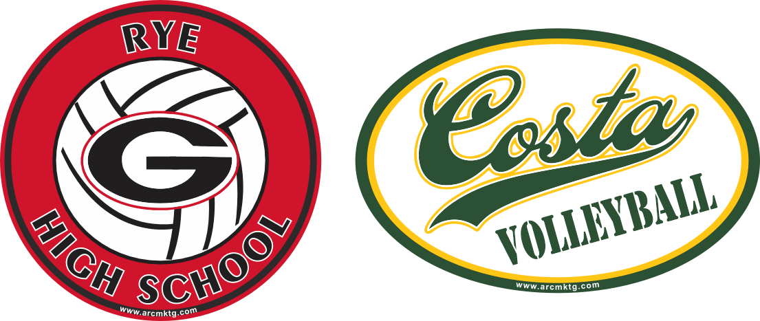 Vollleyball car magnets