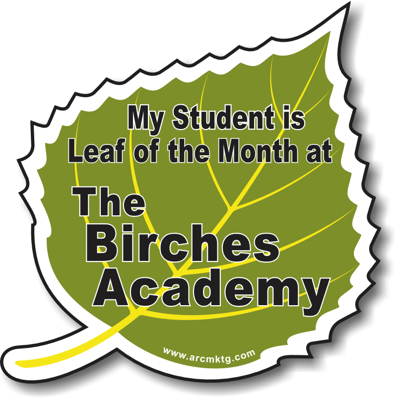 Finished Birches Academy custom car magnet designed by ARC Marketing