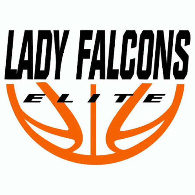Artwork supplied by Lady Falcons client
