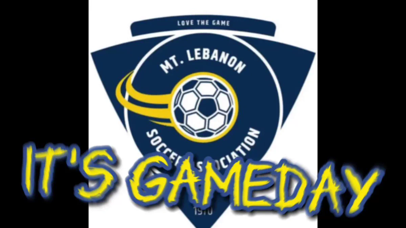 Artwork supplied by Mt. Lebanon client