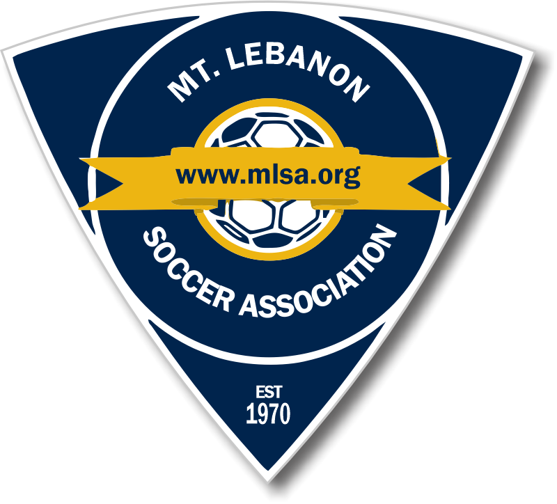 Finished Mt. Lebanon custom sports magnet designed by ARC Marketing